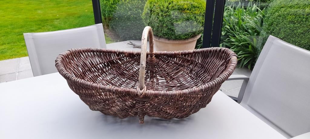 Corbeille à raisins en osier, Enlèvement, Utilisé