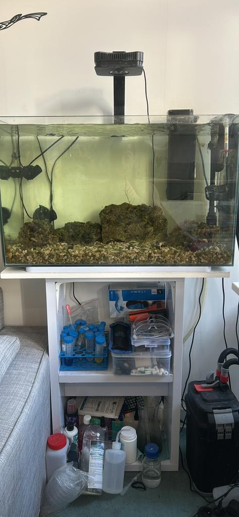 Aquarium marin – 150 L (meuble inclus), Animaux & Accessoires, Poissons | Aquariums & Accessoires, Comme neuf, Enlèvement ou Envoi