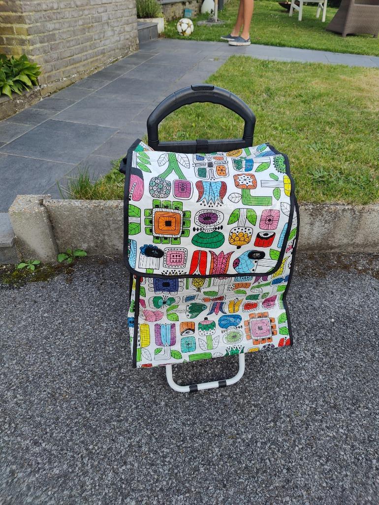 Boodschappentrolley op wielen, Enlèvement, Utilisé