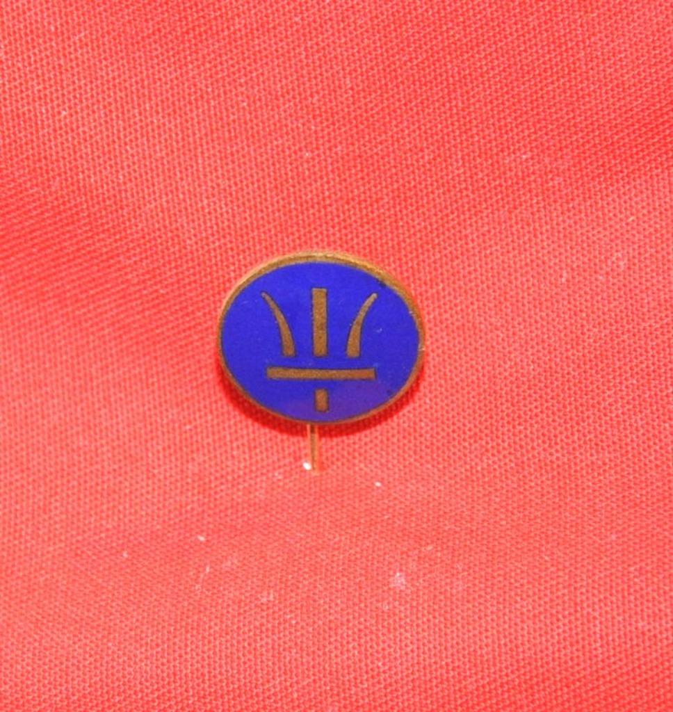 epinglette ecusson (10), Verzamelen, Ophalen of Verzenden, Overige soorten, Overige typen