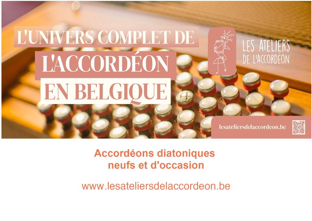 Accordéon diatonique, Musique & Instruments, Enlèvement, Neuf, Accordéon à boutons, Avec bretelles