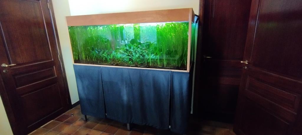 Volledig ingericht aquarium, Enlèvement, Utilisé, Aquarium d'eau douce rempli