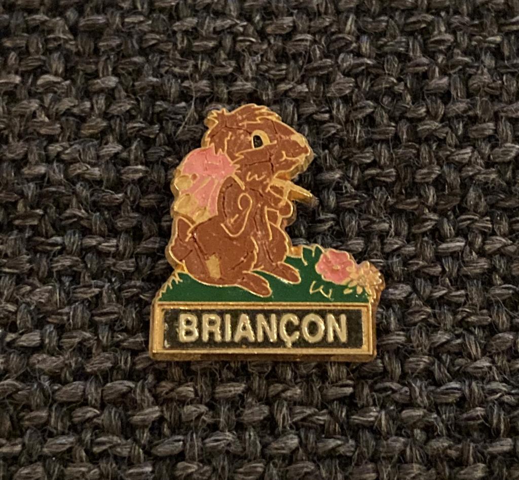 PIN - BRIANCON - FRANCE - BEVER - BEAVER - CASTOR, Verzamelen, Verzenden, Gebruikt, Stad of Land, Speldje of Pin