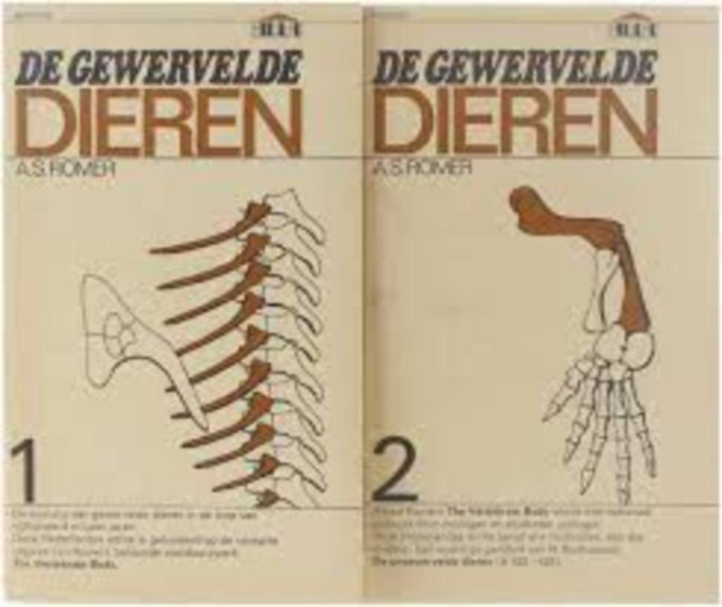 de gewervelde dieren 1-2|Aula 466,A.S. Romer 9027452121, Overige wetenschappen, Ophalen of Verzenden, Zo goed als nieuw, Zie beschrijving