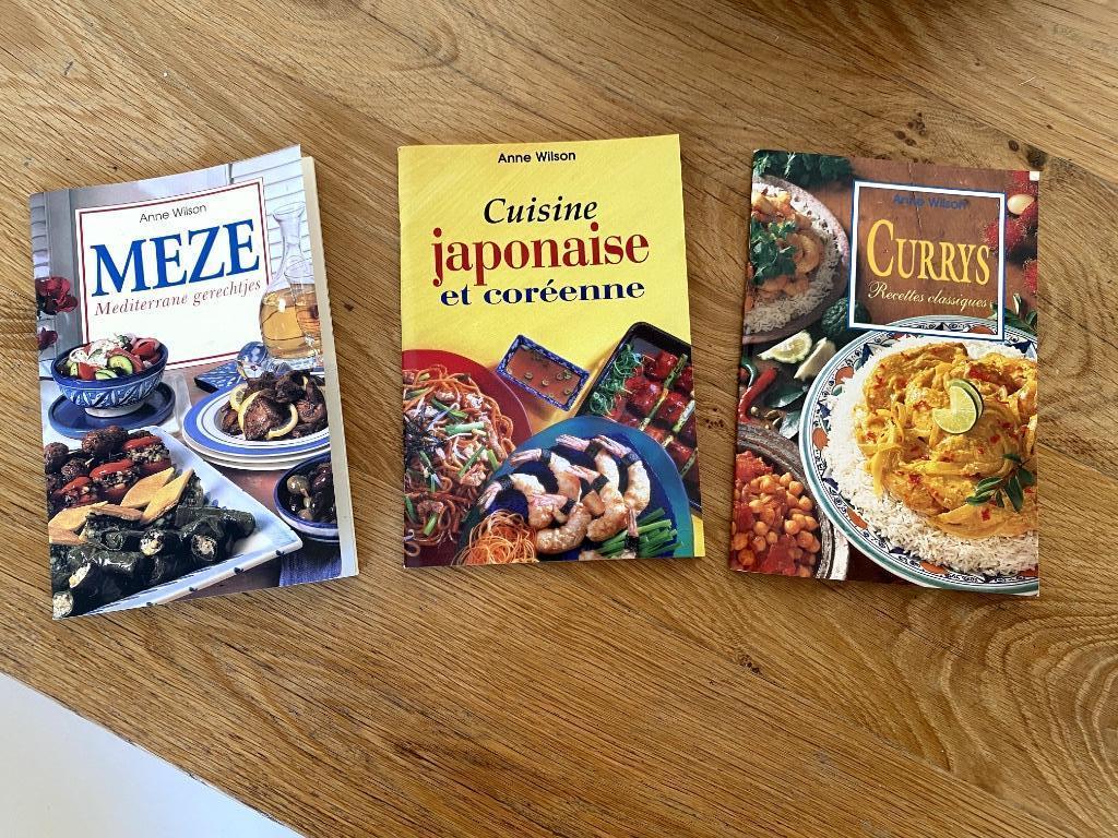 3 kookboekjes Anne Wilson: Meze - Japans - Curry, Plat principal, Enlèvement ou Envoi, Anne WILSON, Utilisé