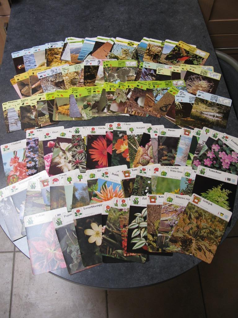 Verzamelkaarten Dieren en Bloemen 1976, Verzamelen, Foto's en Prenten, Ophalen of Verzenden, Zo goed als nieuw, Natuur