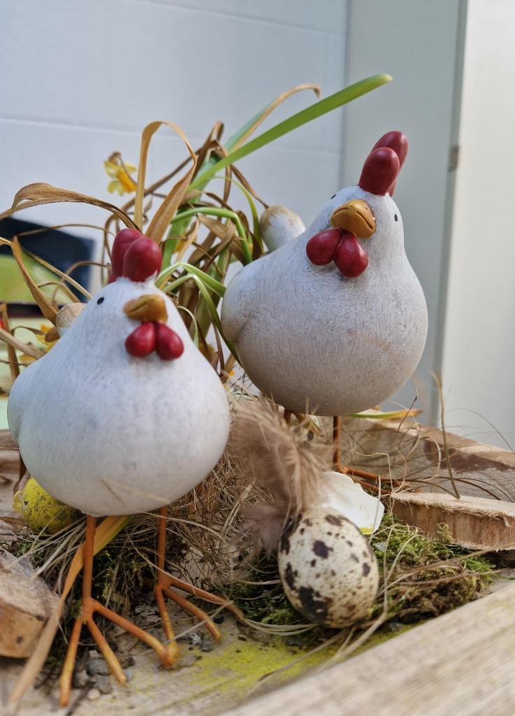 Prachtige Decoratieve Kippen in steen, Verzamelen, Beelden en Beeldjes, Nieuw, Dier, Ophalen