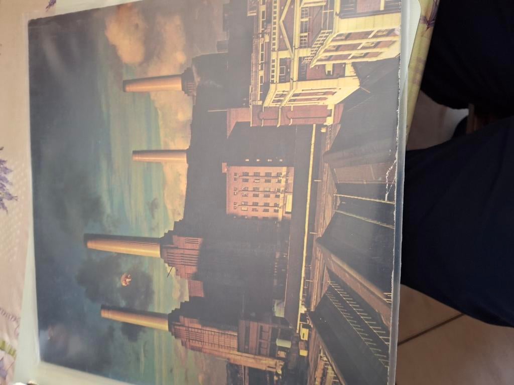 Pink floyd, Ophalen of Verzenden, Zo goed als nieuw