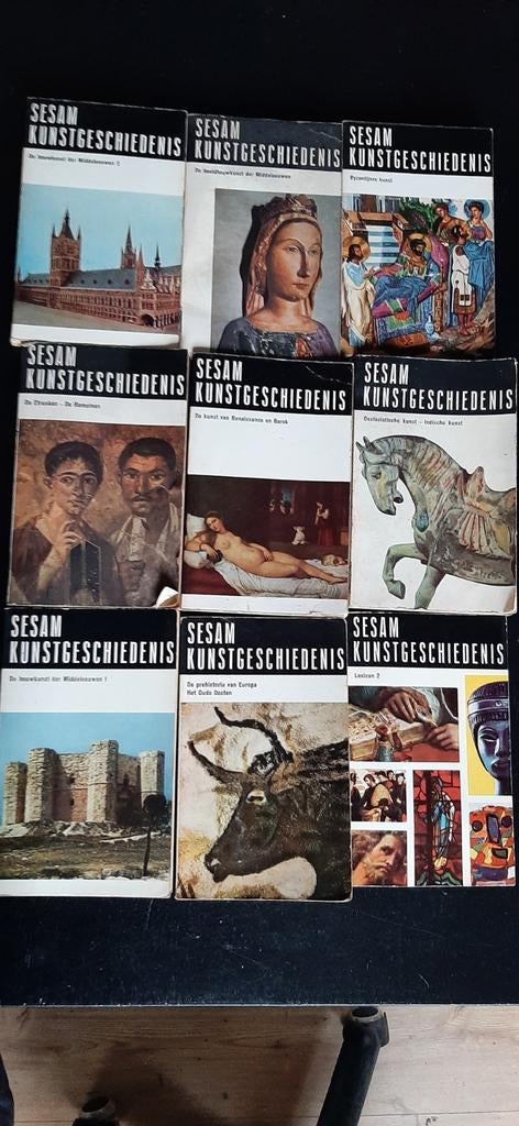 Sesam kunstgeschiedenis + Picasso, Ophalen of Verzenden, Zo goed als nieuw