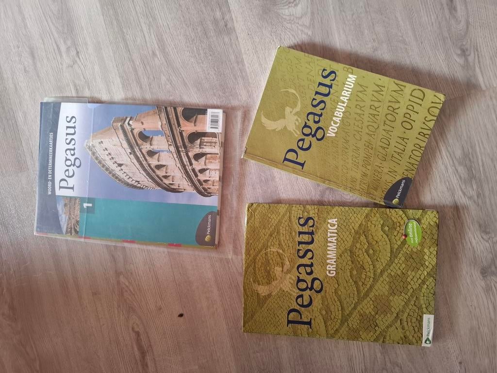 Pegasus vocabularium + grammatica + woord- en determineerkaa, Boeken, Ophalen of Verzenden, Zo goed als nieuw
