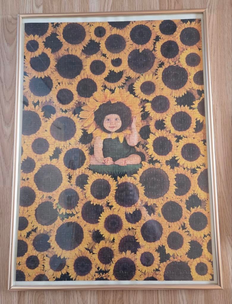 Anne geddes puzzel ingekaderd, Ophalen, Gebruikt