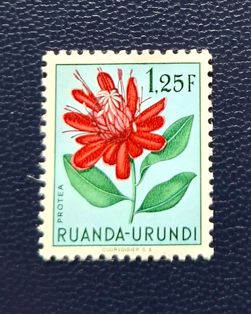 POstzegel Ruanda-Urundi OBP 186*, Postzegels en Munten, Ophalen of Verzenden