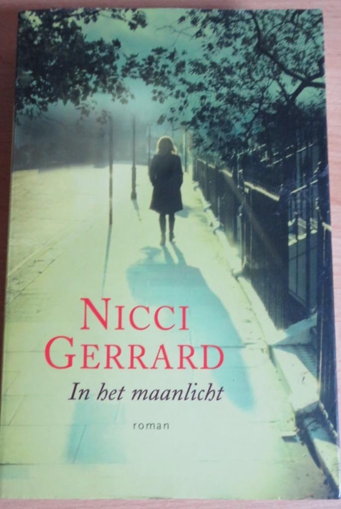 Nicci Gerard - in het maanlicht - roman/boek, Enlèvement ou Envoi, Comme neuf, Nicci French