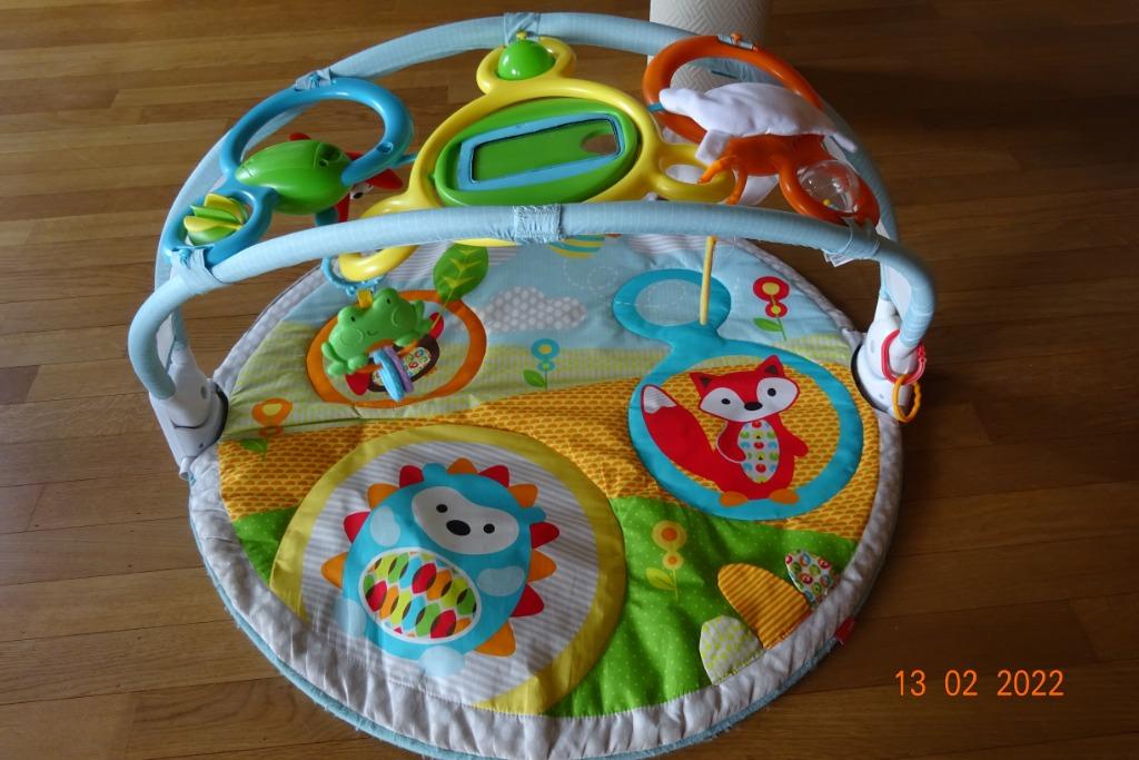 Skip Hop Explore and More Amazing Arch Activity Gym, Kinderen en Baby's, Ophalen of Verzenden