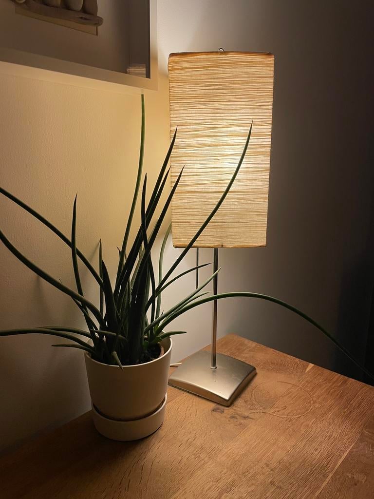 Papieren lamp ikea - tafellamp, Huis en Inrichting, Kamerplanten, Ophalen