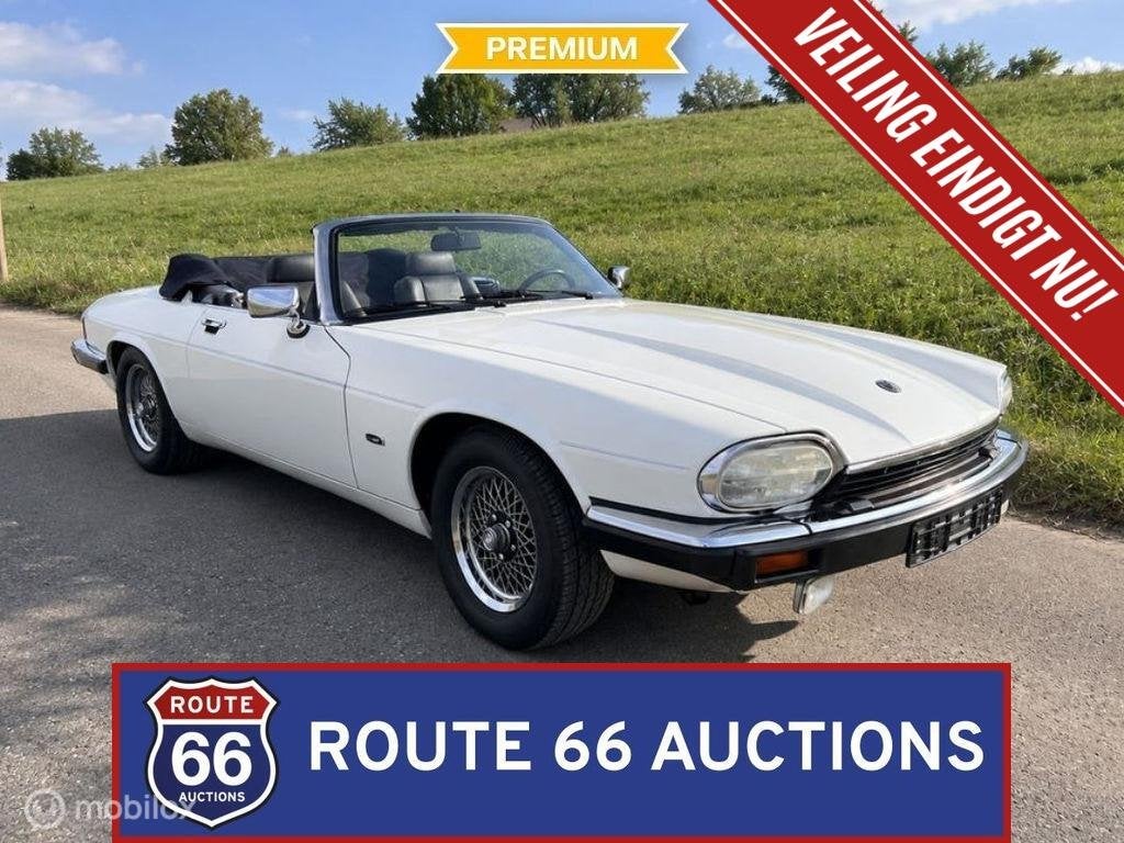 Jaguar XJS V12 Cabriolet | 1992 | Route 66 Auctions, Autos, Achat, Entreprise, Boîte manuelle, Autre carrosserie