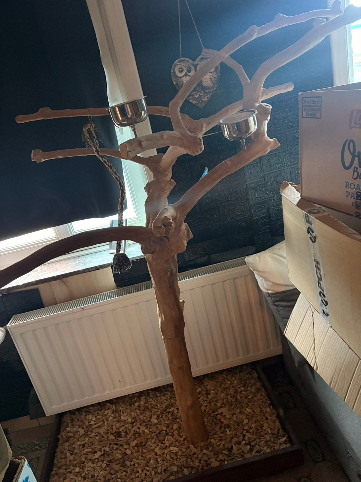 Arbre. Peroquet perchoir, Enlèvement, Comme neuf
