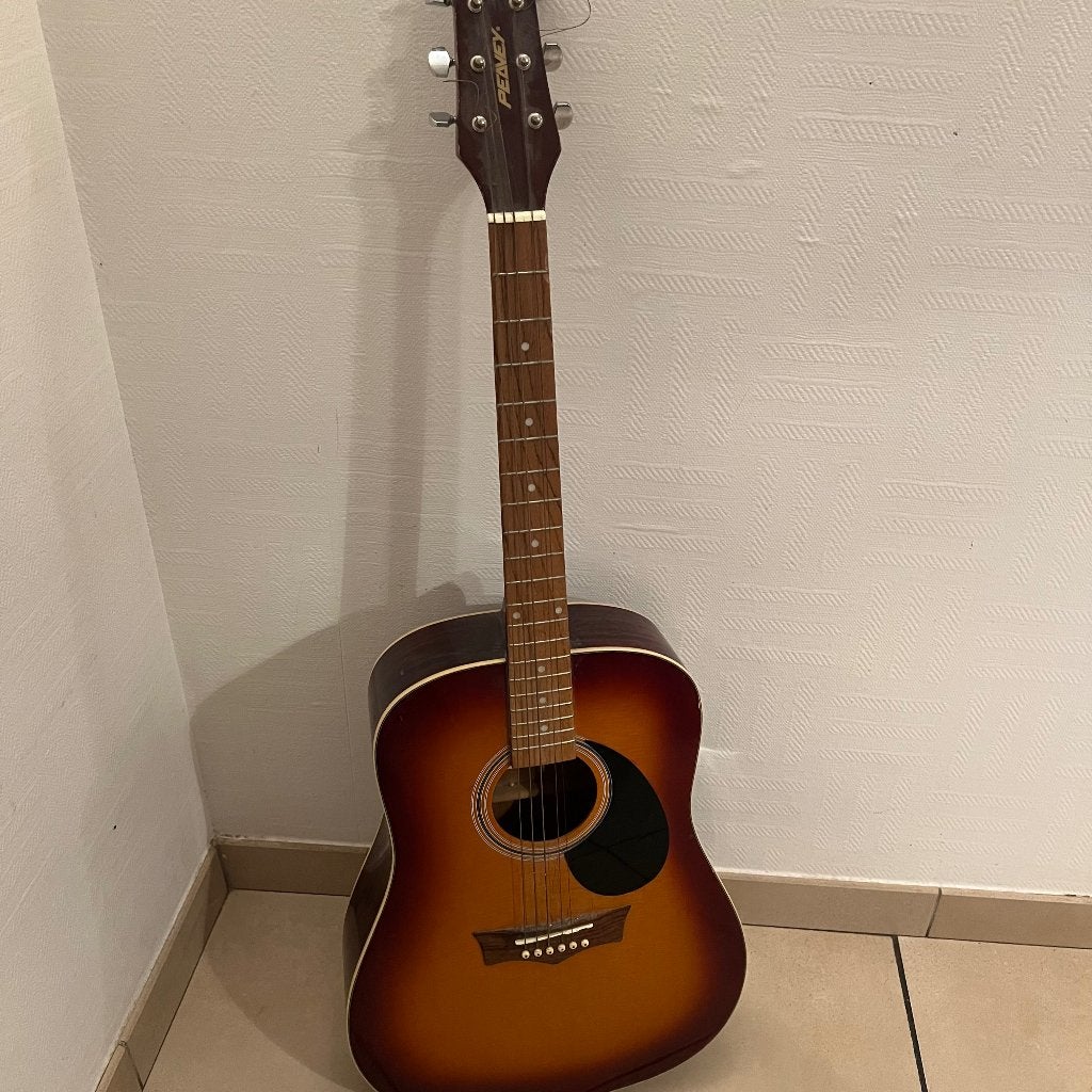 Guitare acoustique falk 6 cordes, Enlèvement