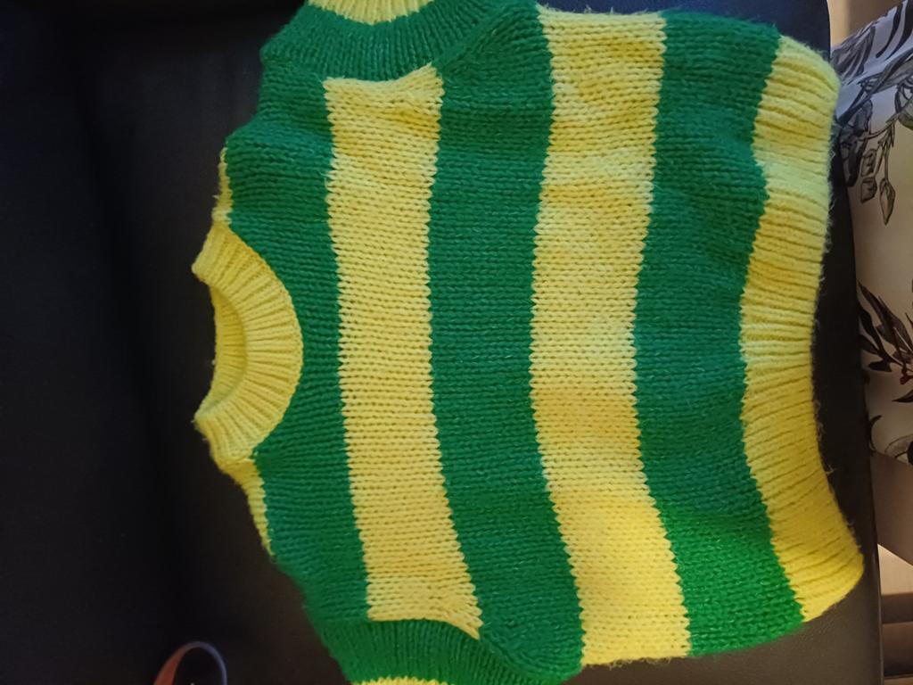 Bel&Bo truitje geel/groen Mt 140, Kinderen en Baby's, Kinderkleding | Maat 140, Meisje, Trui of Vest, Ophalen of Verzenden, Zo goed als nieuw