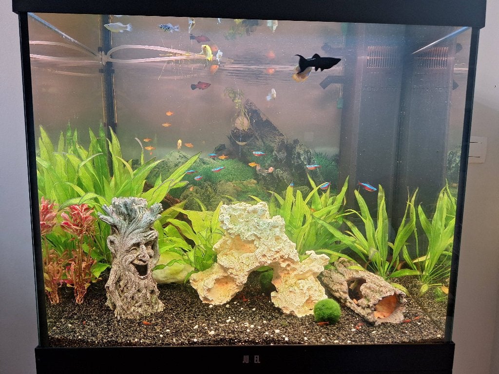 Aquarium Juwel Lido 200 liter, Dieren en Toebehoren, Vissen | Aquaria en Toebehoren, Ophalen, Gebruikt, Leeg aquarium, Juwel