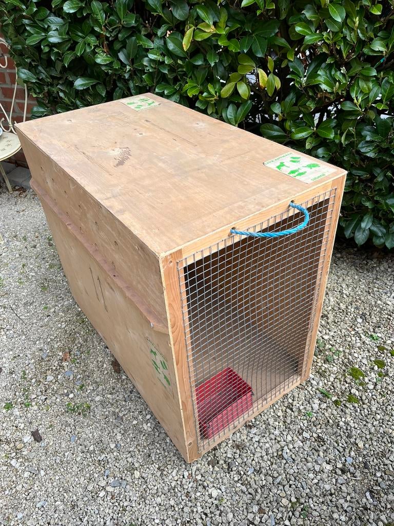 Transportbox voor dieren (hond), Ophalen, Zo goed als nieuw