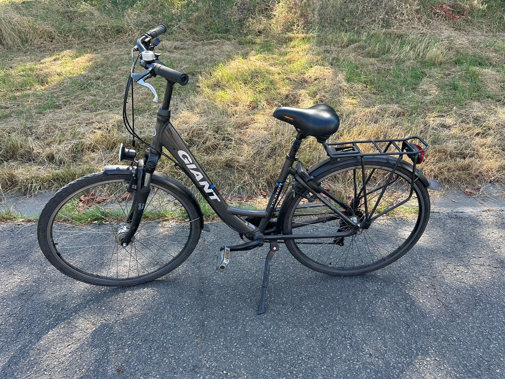 Damesfiets Giant, Ophalen, 53 tot 56 cm, Velgrem, Versnellingen