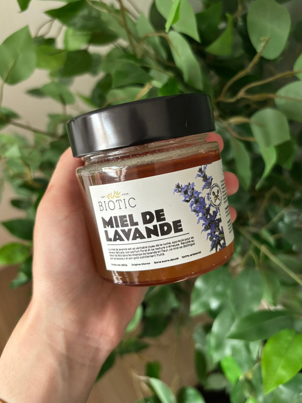 Miel de Lavande du Maroc, Enlèvement ou Envoi, Neuf