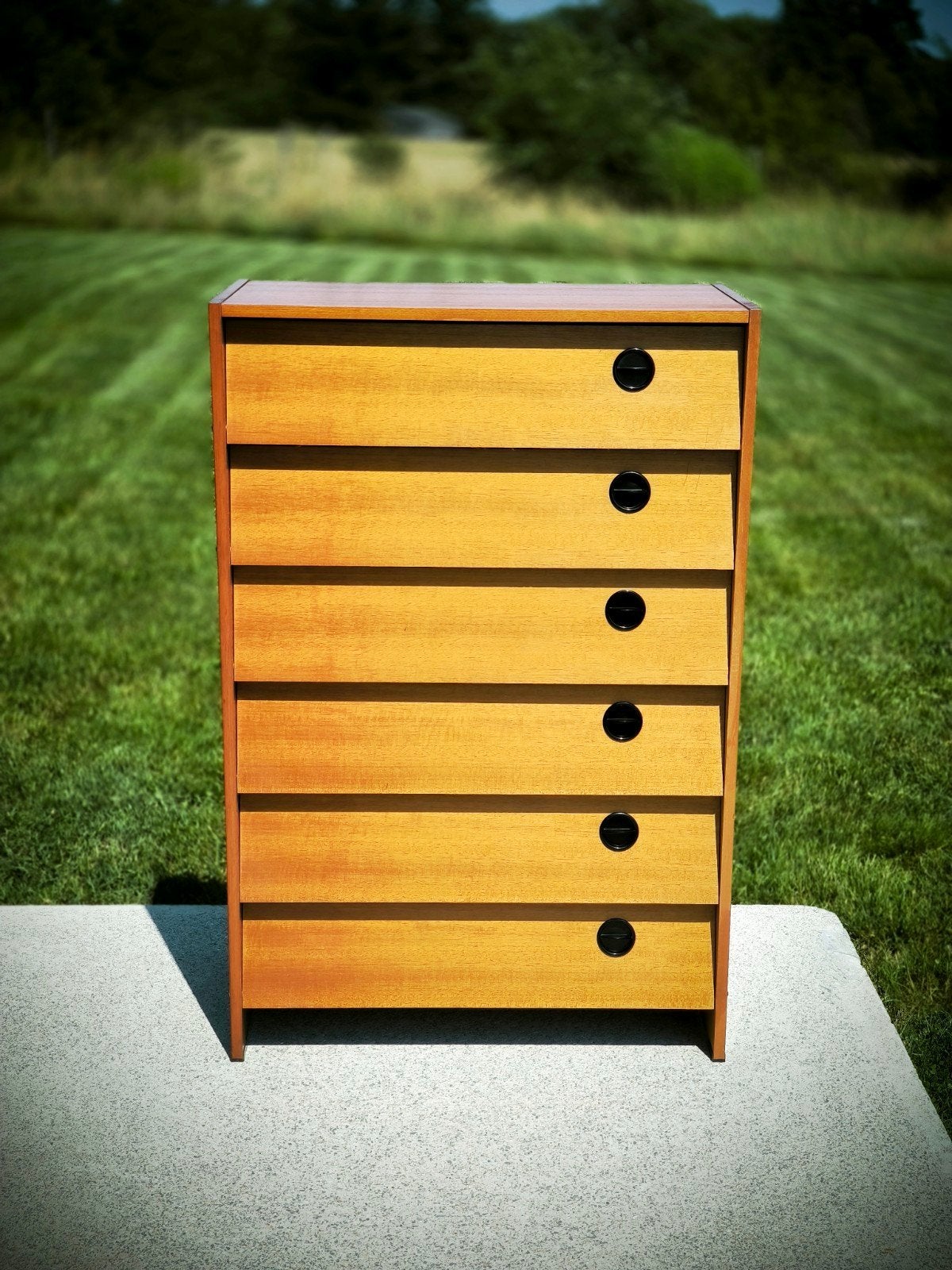 Grande armoire à chaussures année 1980s, Teck, 25 à 50 cm, 5 tiroirs ou plus, Vintage