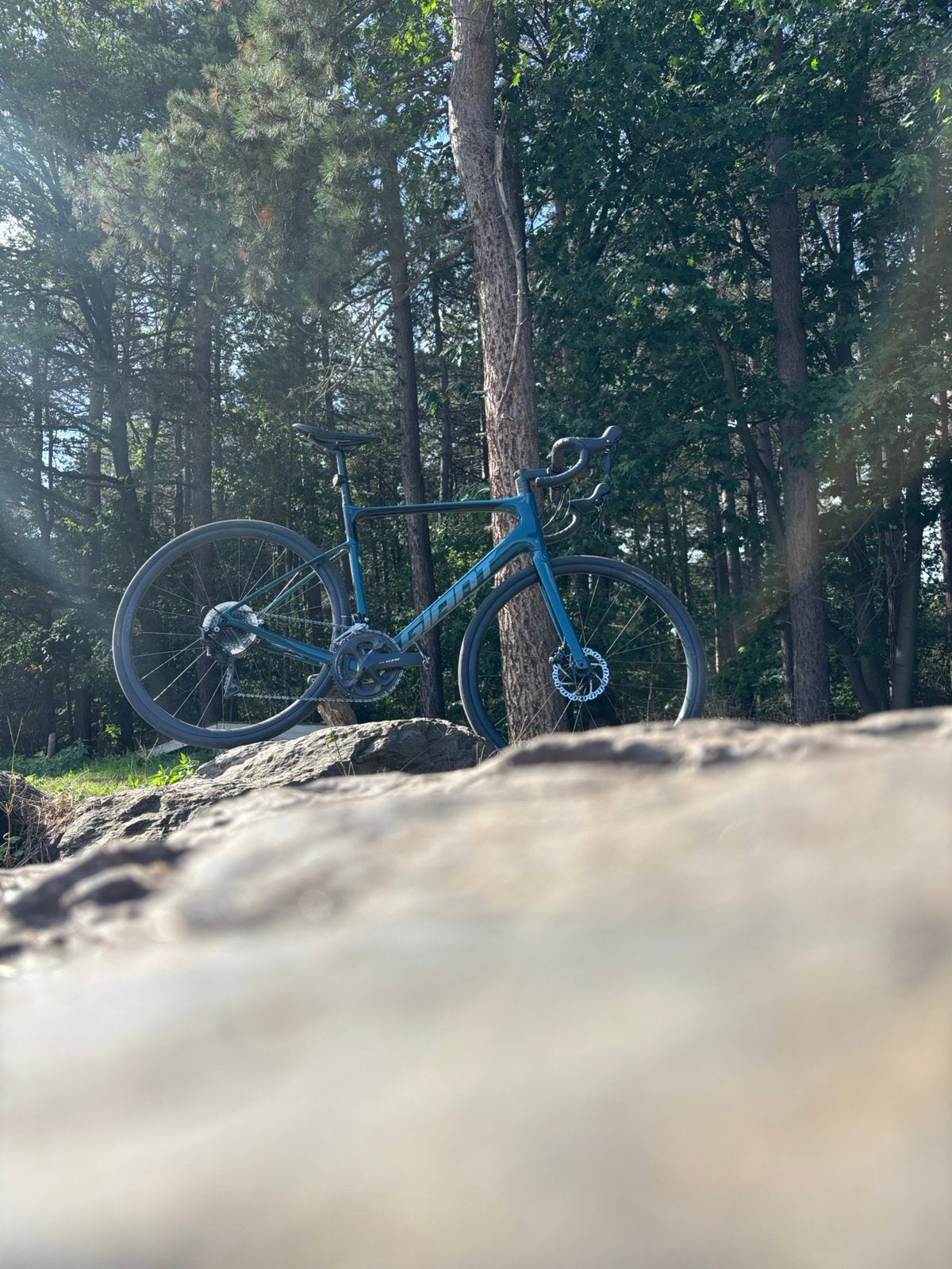 Giant Defy Advanced 2, Vélos & Vélomoteurs, Enlèvement, Carbone, Giant