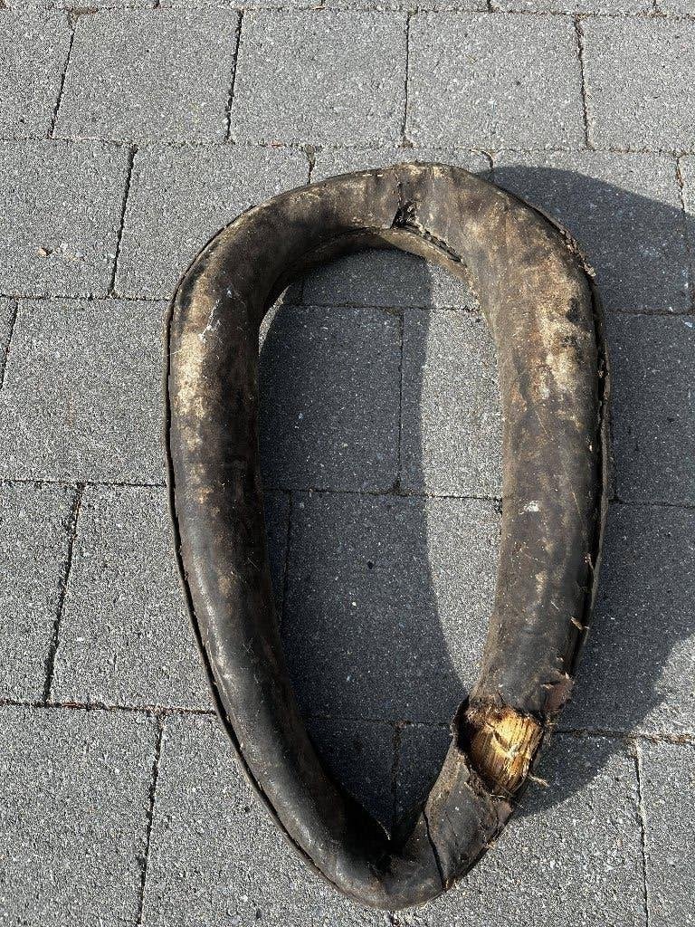 Halsketting voor oude paarden, Dieren en Toebehoren, Ophalen, Gebruikt