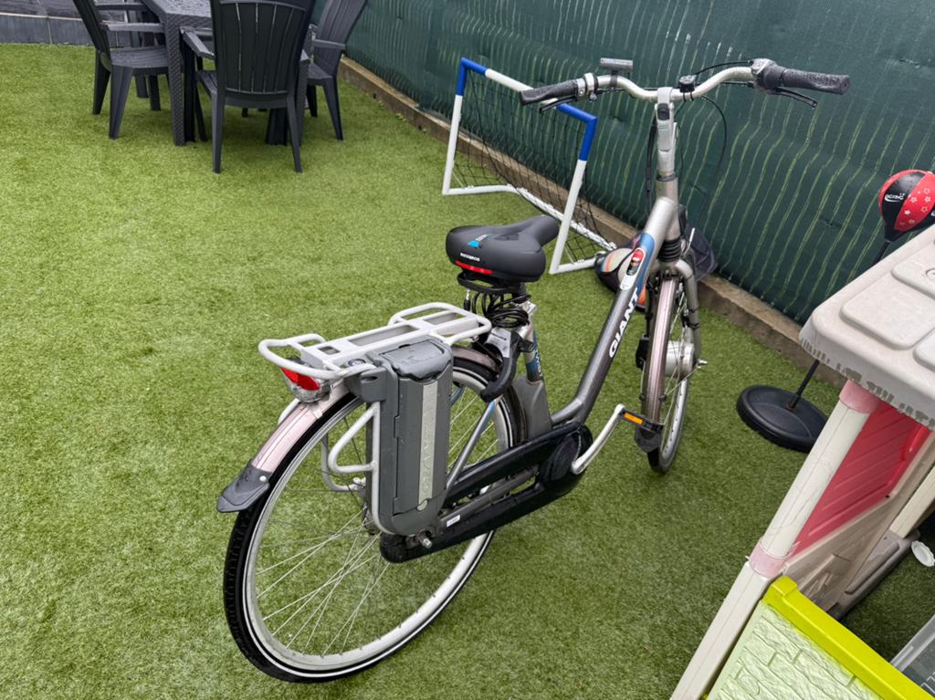 Electrische Fiets Giant, Fietsen en Brommers, Ophalen, Zo goed als nieuw
