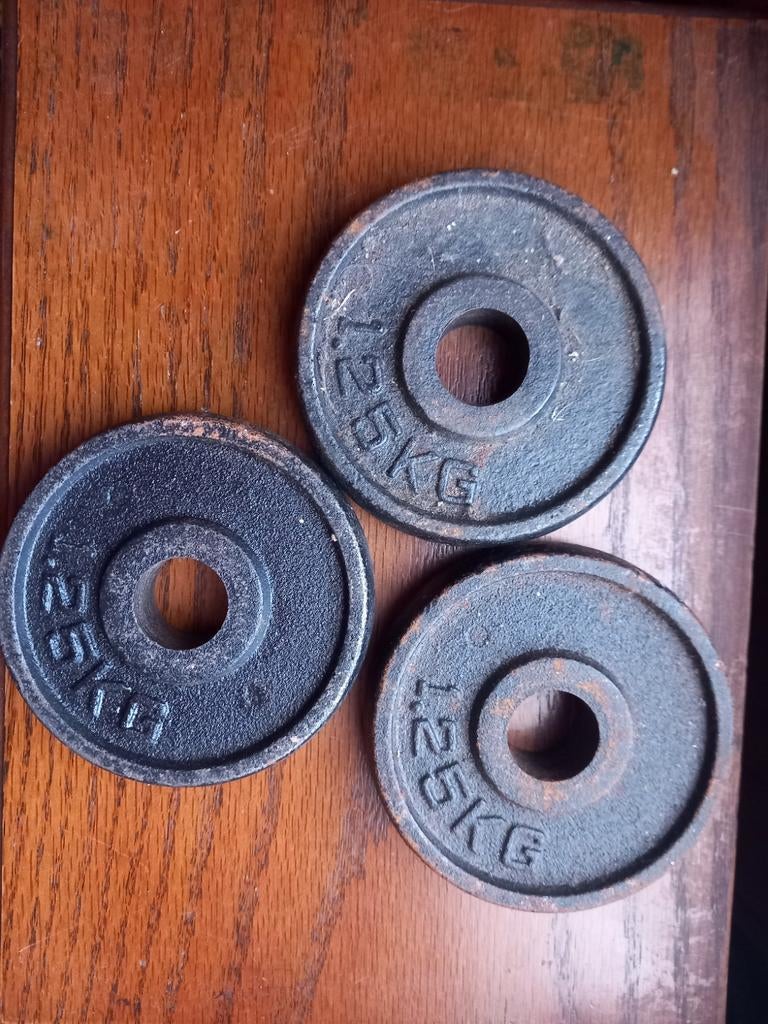 3 halter schijven van elk 1,25 kg, Sport en Fitness, Ophalen