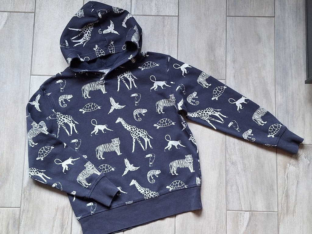 M128/134 - Trui met kap, Kinderen en Baby's, Kinderkleding | Maat 128, Ophalen of Verzenden, Gebruikt, Jongen, Trui of Vest