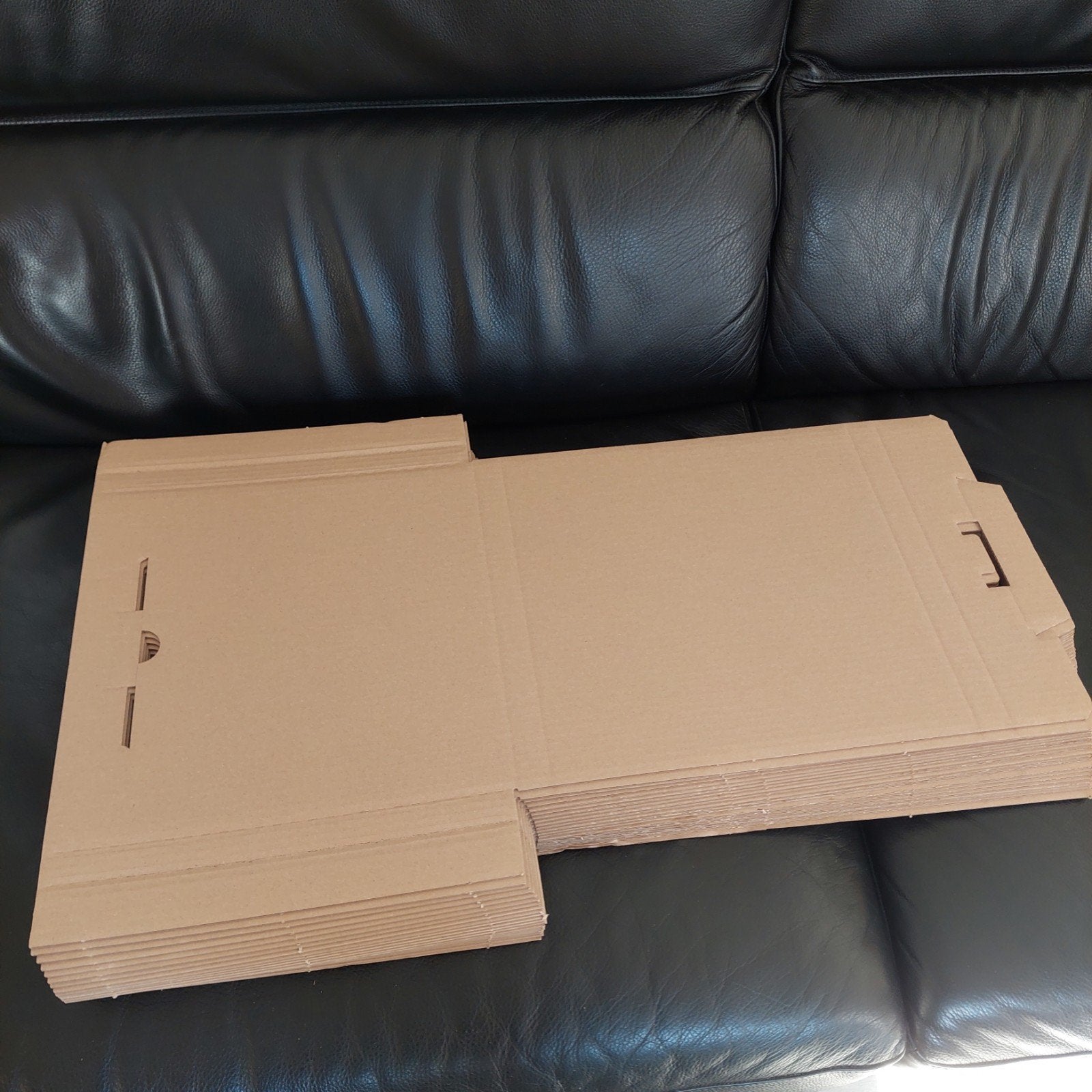 Emballage en carton de 20 pièces pour Lp avec carton de remp, Enlèvement, Neuf