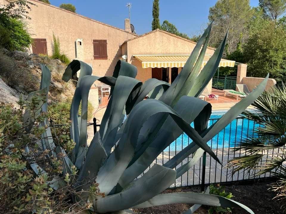 Provence privé zwembad max 8 personen juli augustus, Vacances, Propriétaire, Village, 8 personnes, Provence et Côte d'Azur