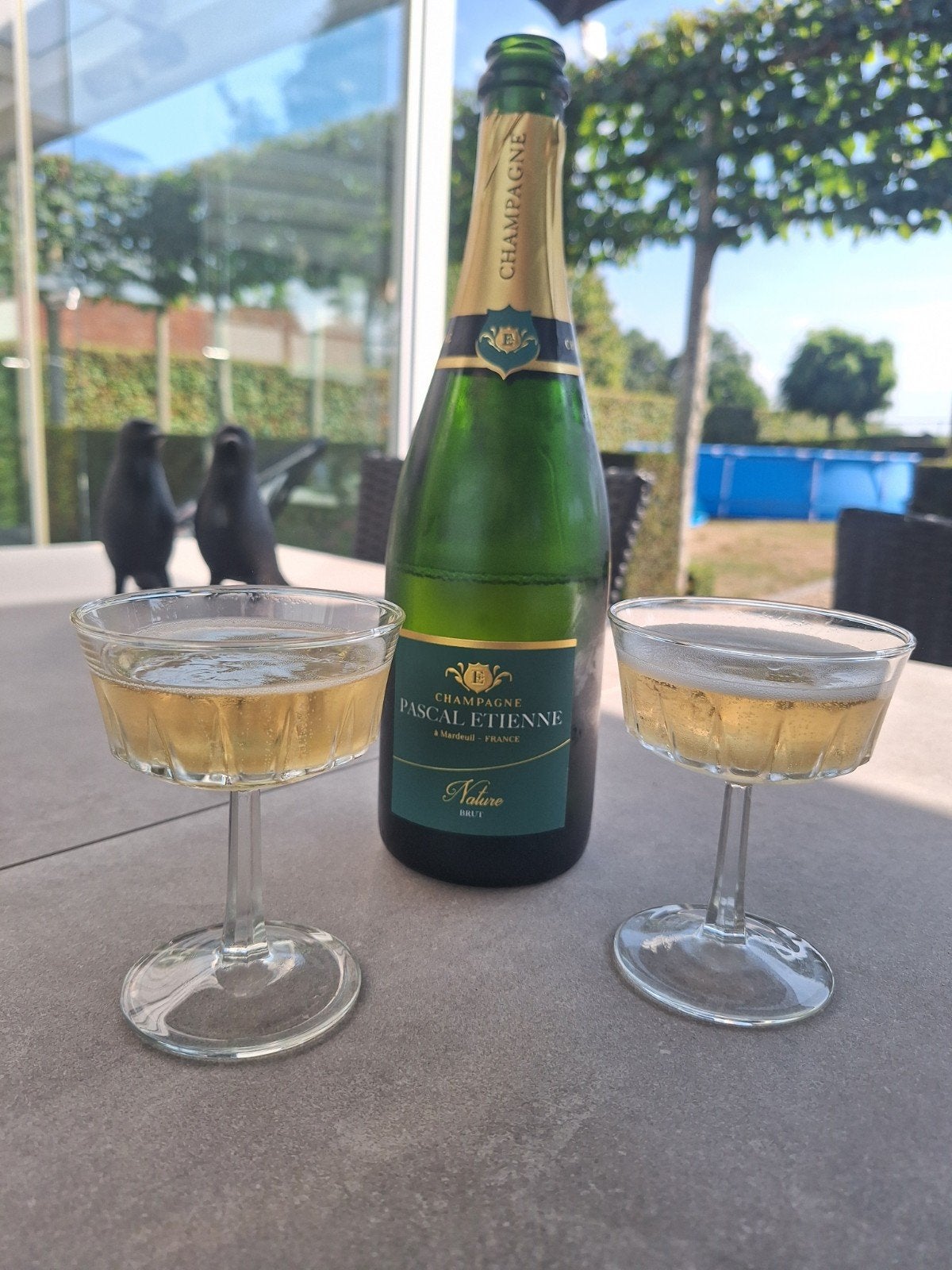 11 Prachtige Vintage Champagnecoupes / Wijnglazen, Antiek en Kunst, Ophalen