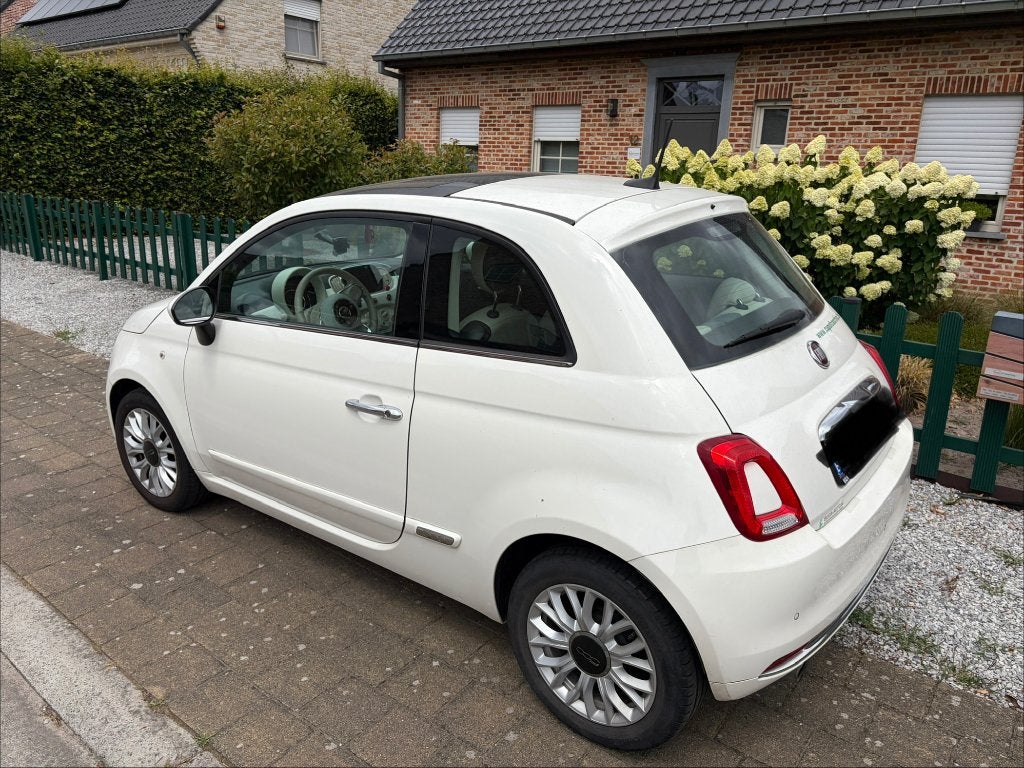 Fiat 500 in uitstekende staat, Autos, 1242 cm³, Achat, Boîte manuelle, Entretenue par le concessionnaire
