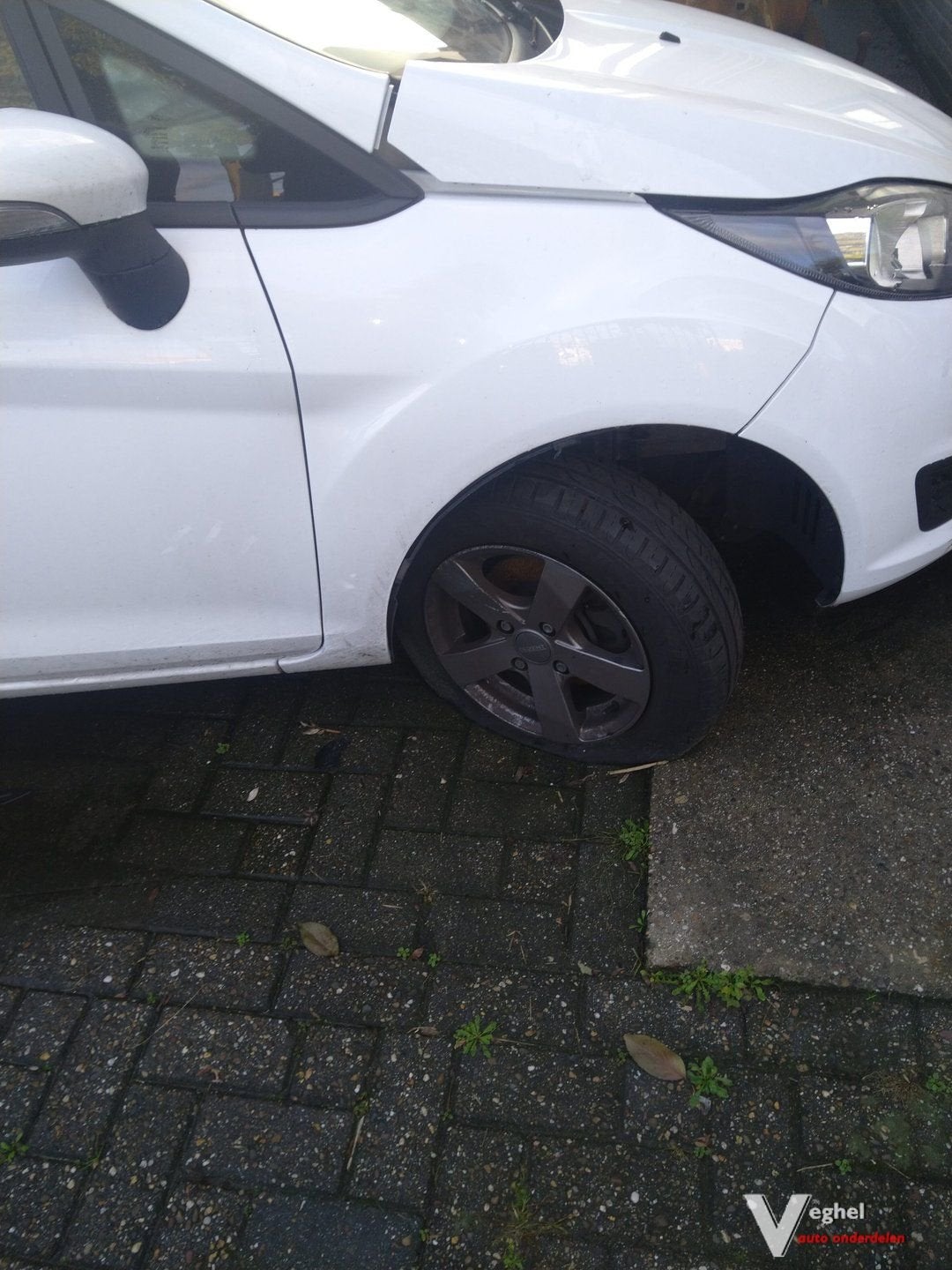 spatbord rv Ford Fiesta 2014 wit, Ophalen, Gebruikt, -, -