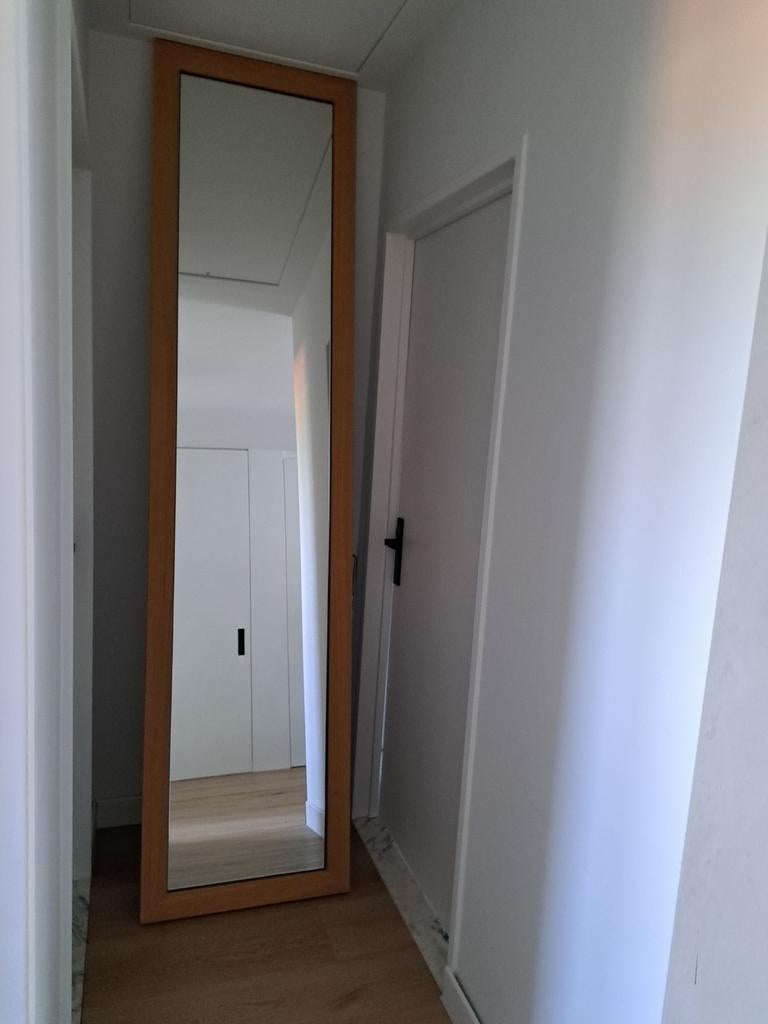 Hoge spiegel met houten kader, Ophalen