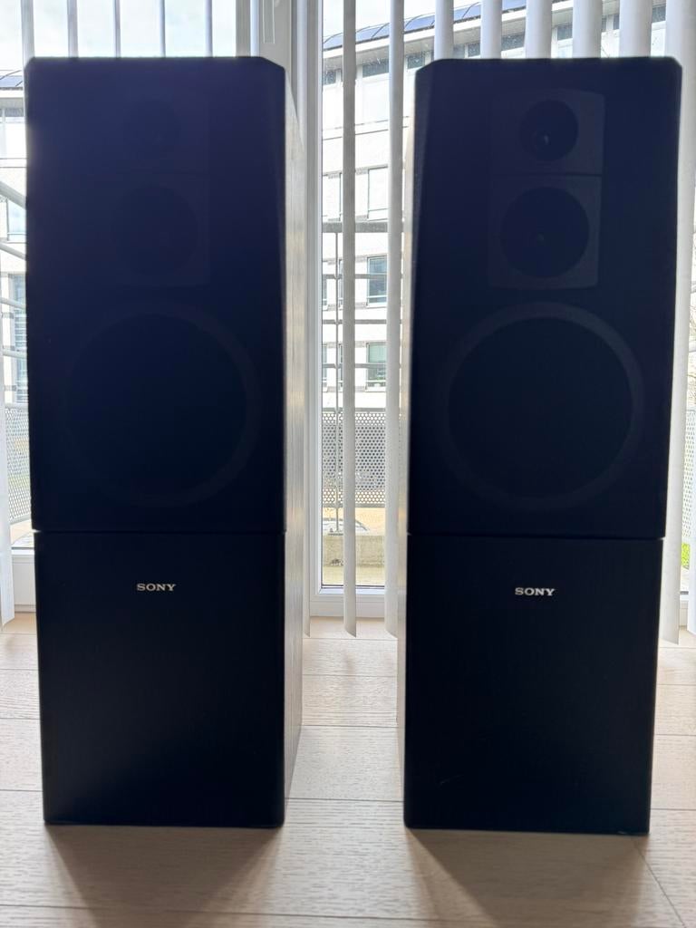 Deux haut-parleurs Sony de 100 watts, Enlèvement, Sony