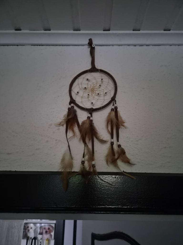 Mooie indiaanse hanger, Ophalen