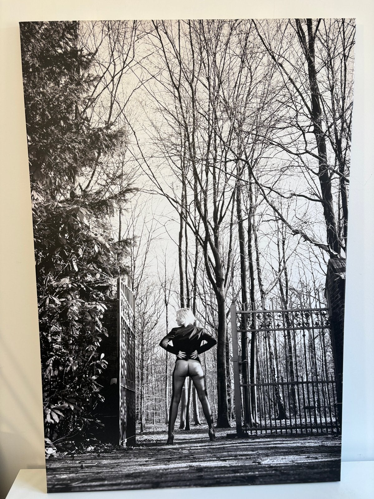 Groot canvas foto 120x 80, Huis en Inrichting, Ophalen, Zo goed als nieuw