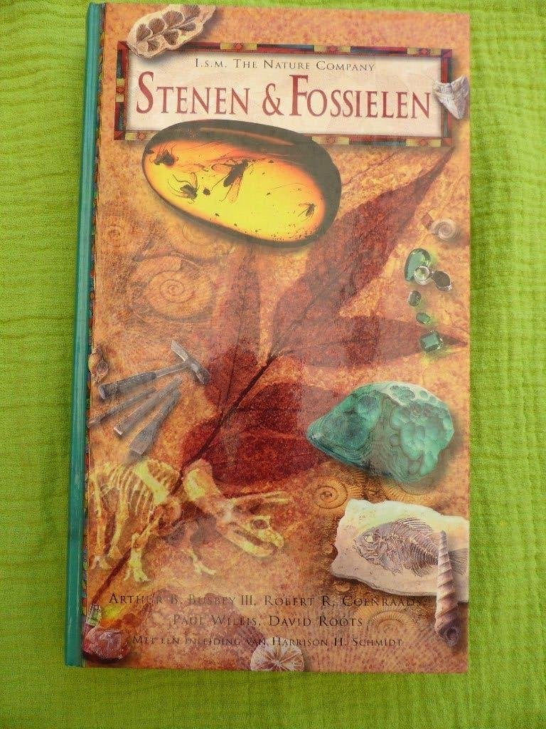 mineralen, Ophalen of Verzenden, Fossiel