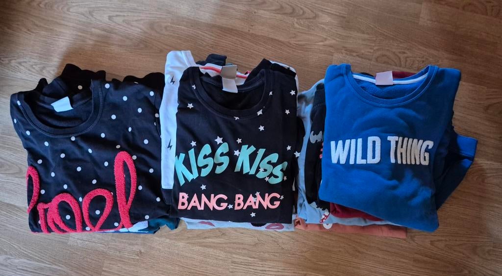 Pakket truien maat L, Kleding | Dames, Ophalen of Verzenden, Maat 42/44 (L)