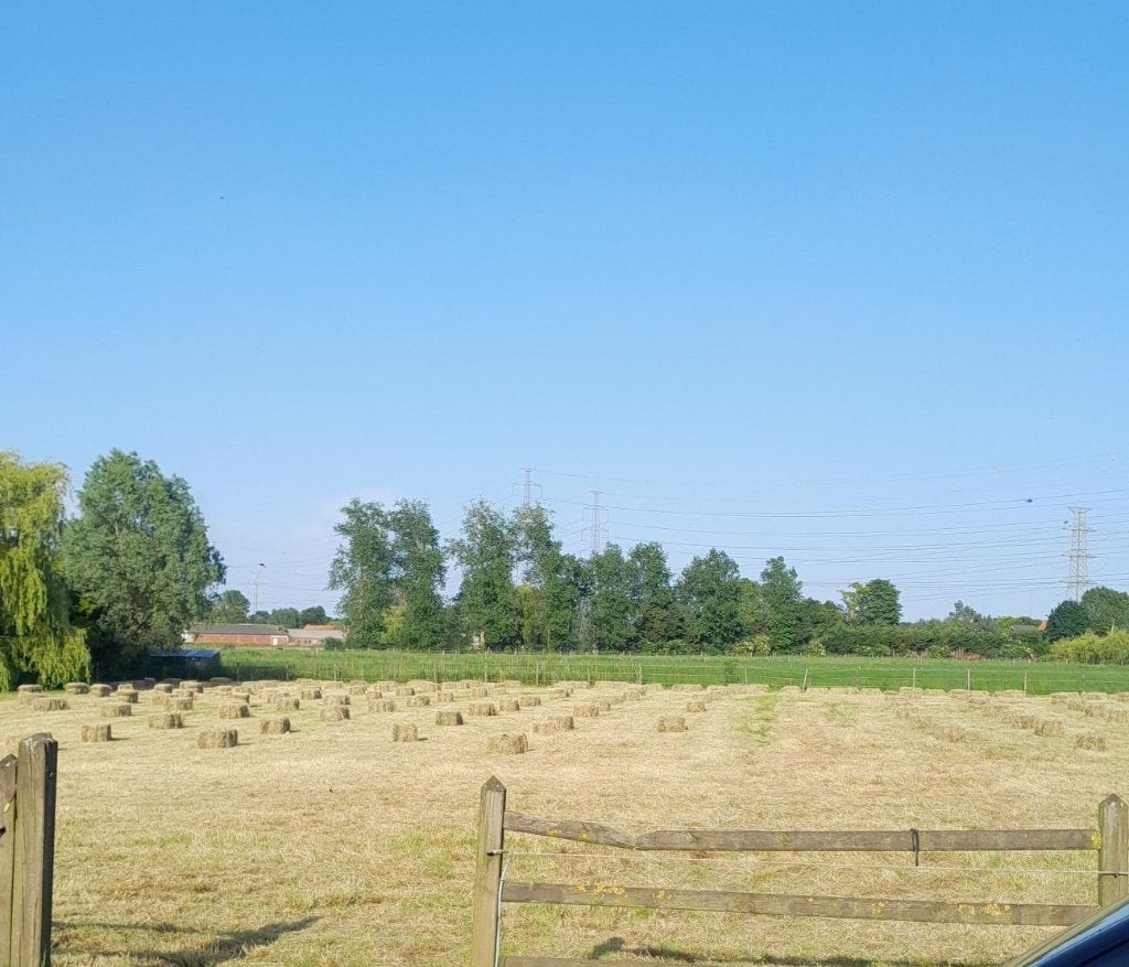hooi, Ophalen