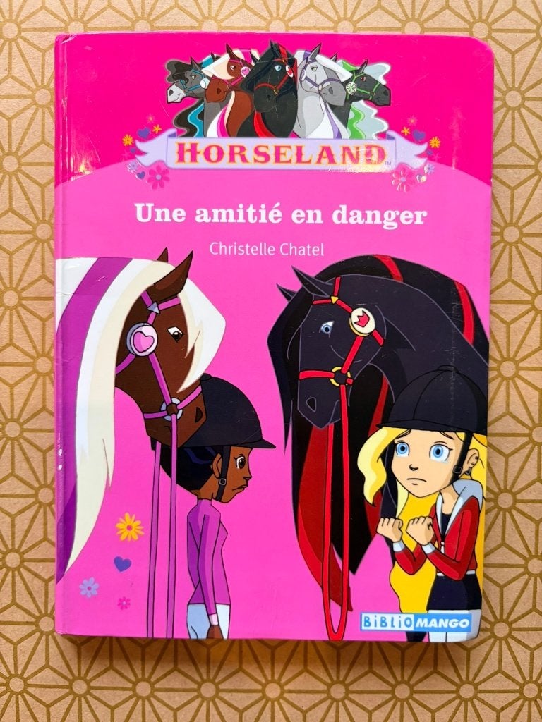 Horseland — Une amitié en danger, Enlèvement, Utilisé, Fiction général