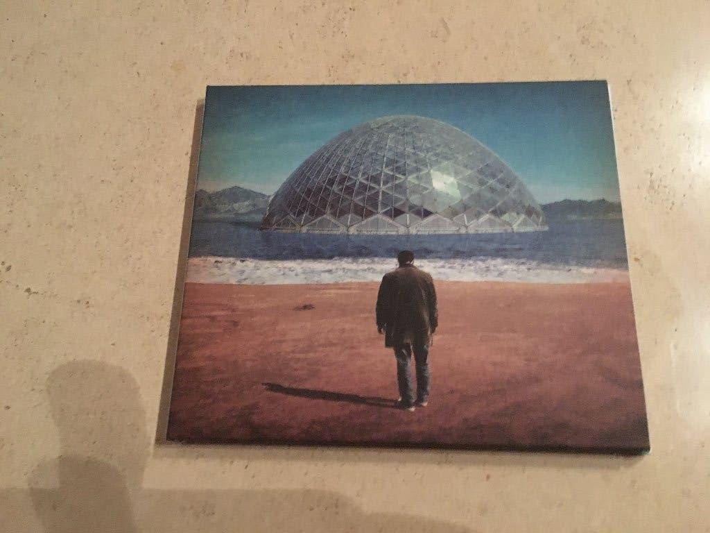 CD Damien Jurado - Brothers and Sisters of the Eternal Son, Cd's en Dvd's, Ophalen of Verzenden