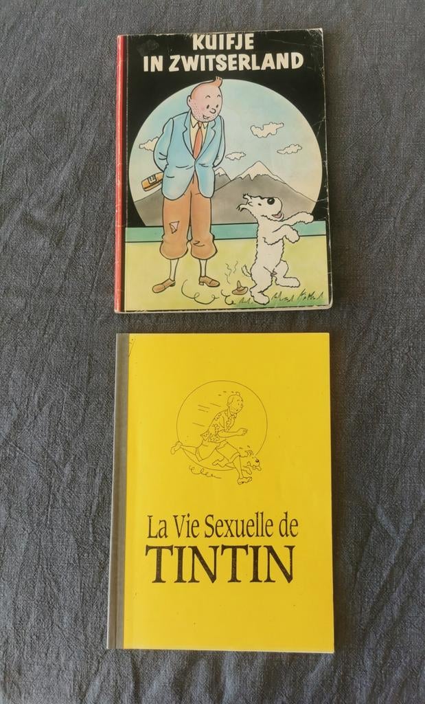 Kuifje in Zwitserland, Boeken, Ophalen of Verzenden