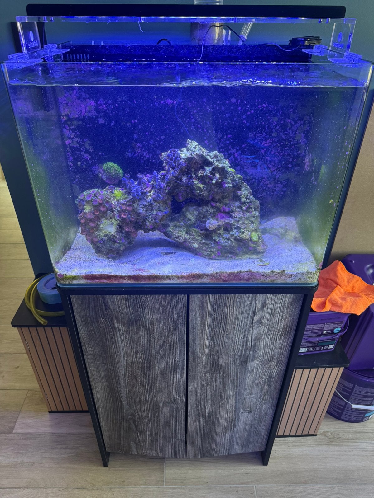 Zee aquarium blue marine 120L, Dieren en Toebehoren, Ophalen, Gevuld zeewateraquarium, Zo goed als nieuw, Blue Marine