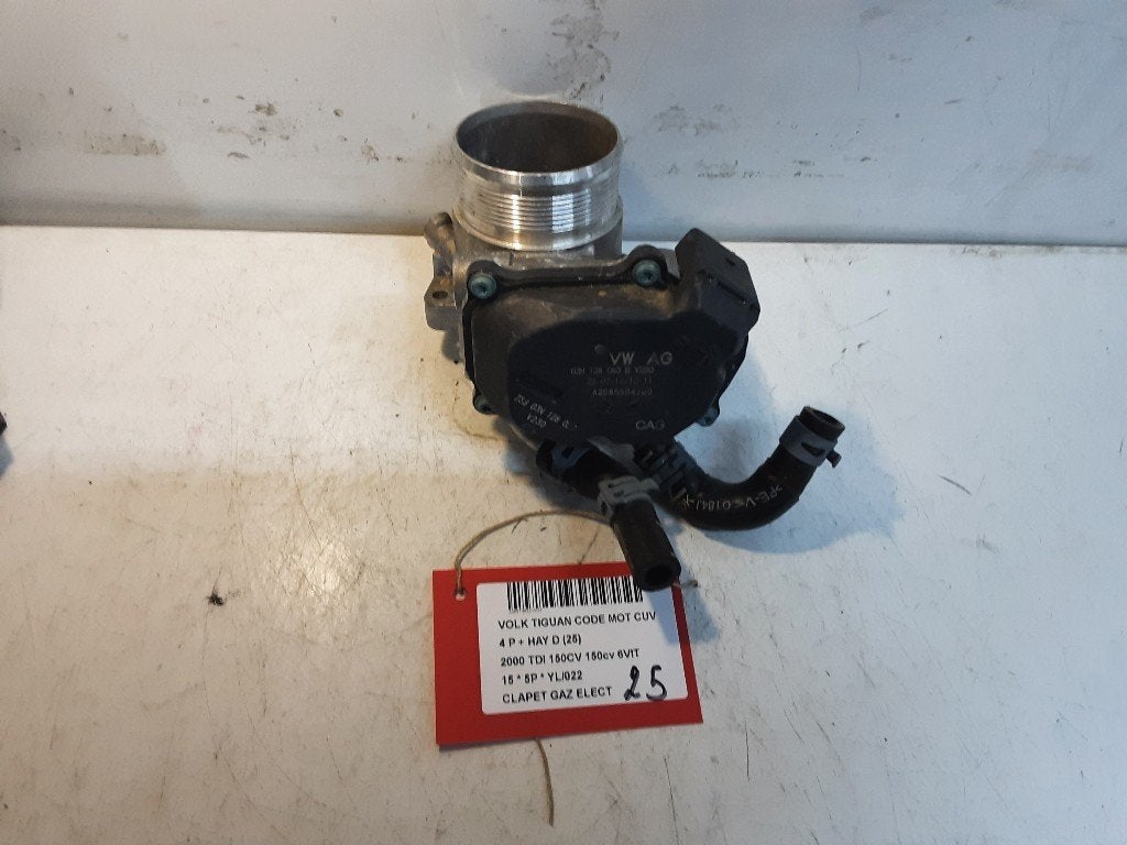 GASKLEPHUIS Volkswagen Tiguan (5N1 / 2) (03N128063B), Gebruikt, Volkswagen, Mevr. I. Hauben, Rue de l'Espoir 34 34
4030  GRIVEGNÉE, BE